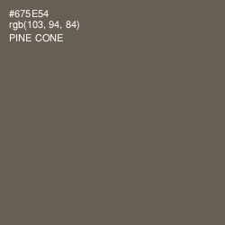 #675E54 - Pine Cone Color Image